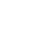Bedbugs