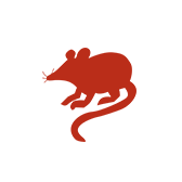 Mice