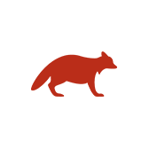 Raccoons