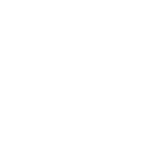 Raccoons