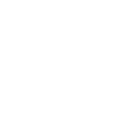 Rats